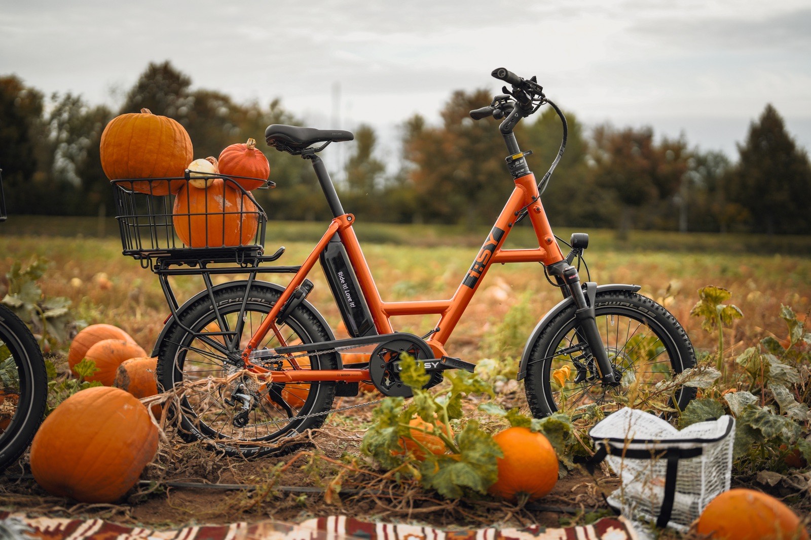 Oranje i:SY e-bike met mand tussen de pompoenen in een herfstveld